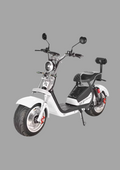 RYW 01 Model