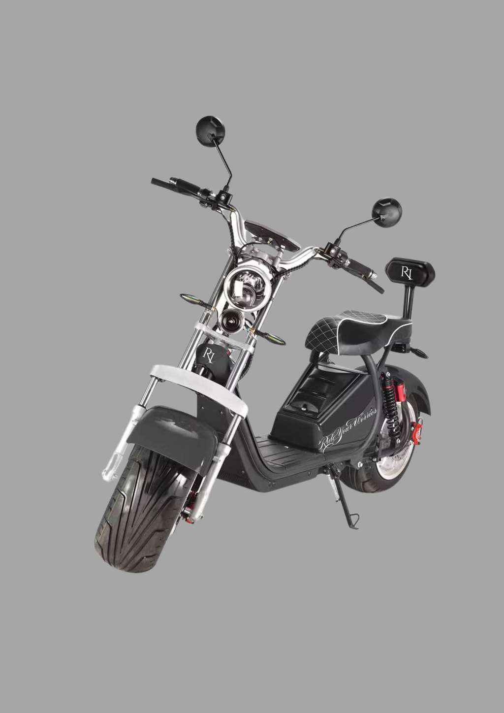 RYW 01 Model