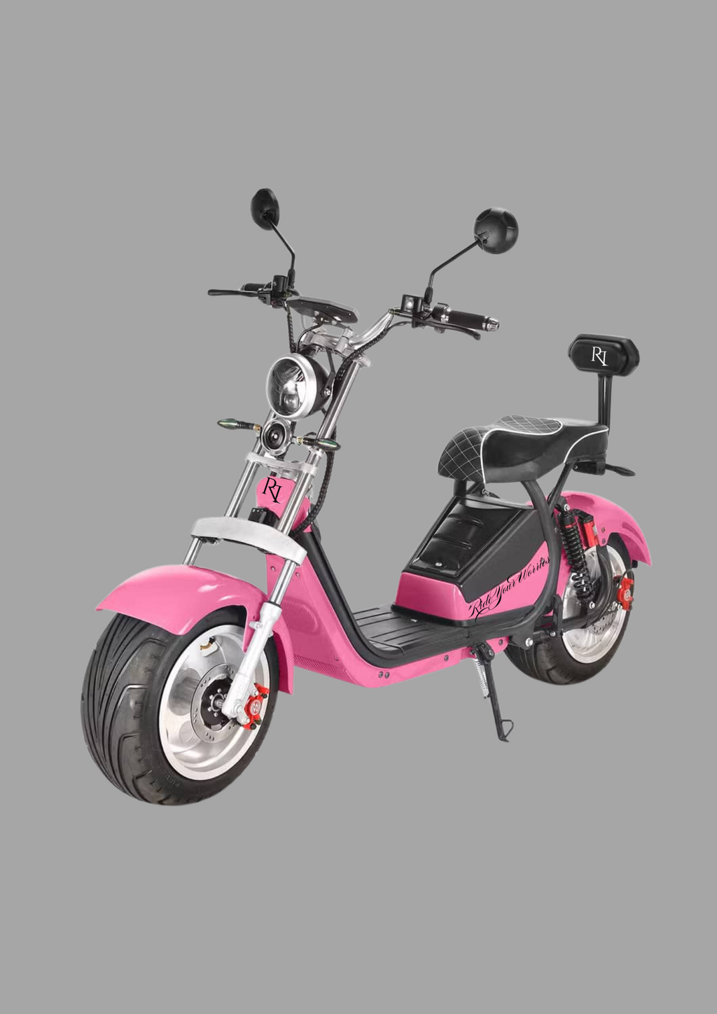 RYW 01 Model